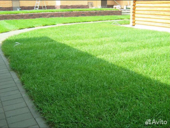 Рулонный газон от производителя