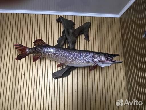 Чучело щуки