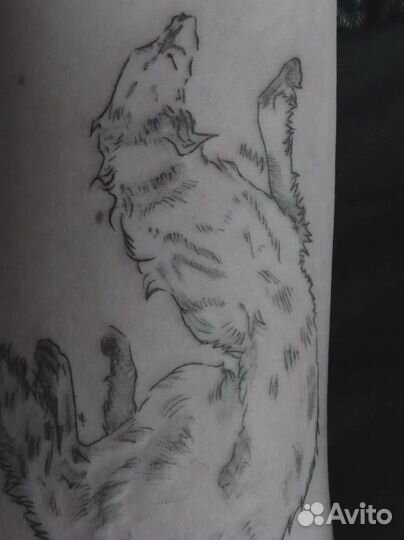 Татуировка, тату-модель