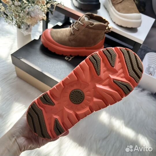 Ugg Neumel угги зимние сапоги унисекс