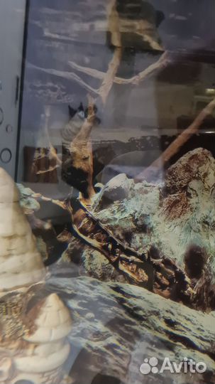 Аквариум с тумбой 155 л