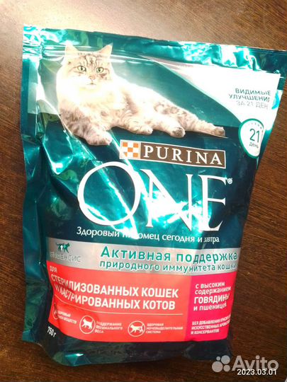 Кошачий сухой корм