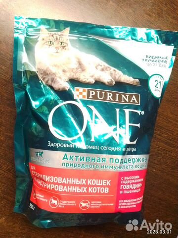 Кошачий сухой корм