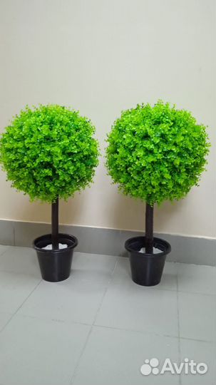 Дерево искусственное Фикус цветок домой центр