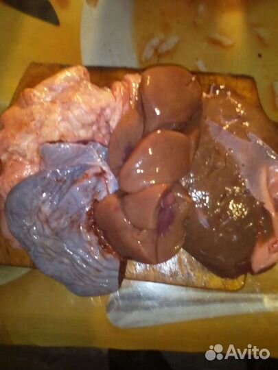 Еда собакам