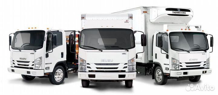 Isuzu Elf, 2023