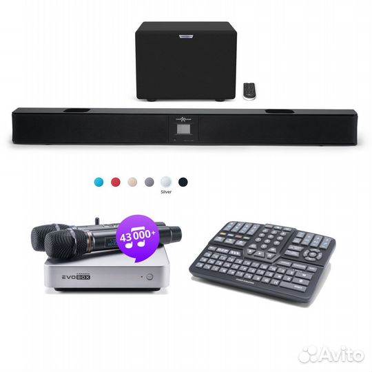 Караоке комплект EvoBox Plus микрофоны EvoSoundBar