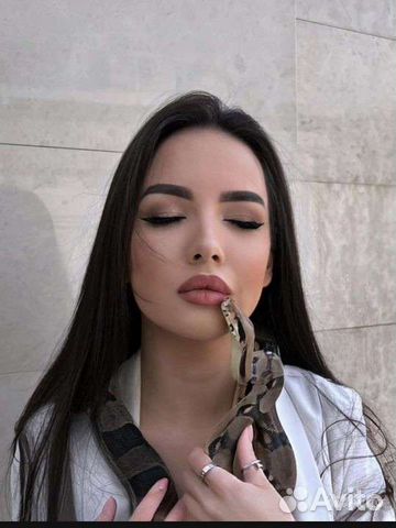 Змея, императорский удав