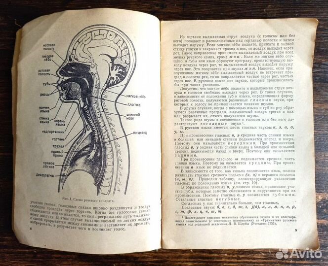 Воспитание правильной речи В. Рождественская