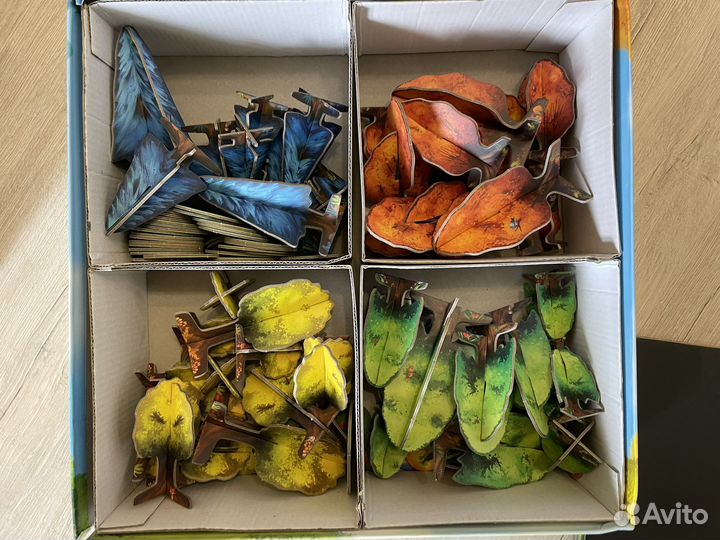 Фотосинтез/Photosynthesis