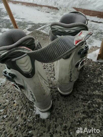 Горнолыжные ботинки