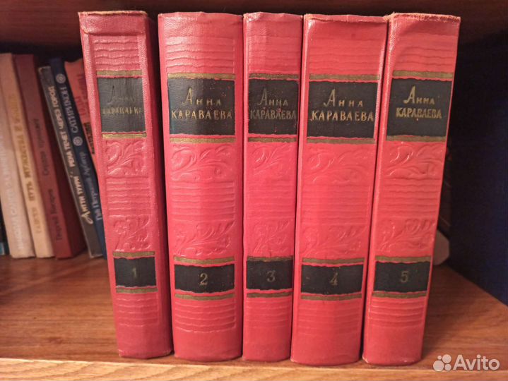 Шолохов, Пушкин, Лермонтов и другие