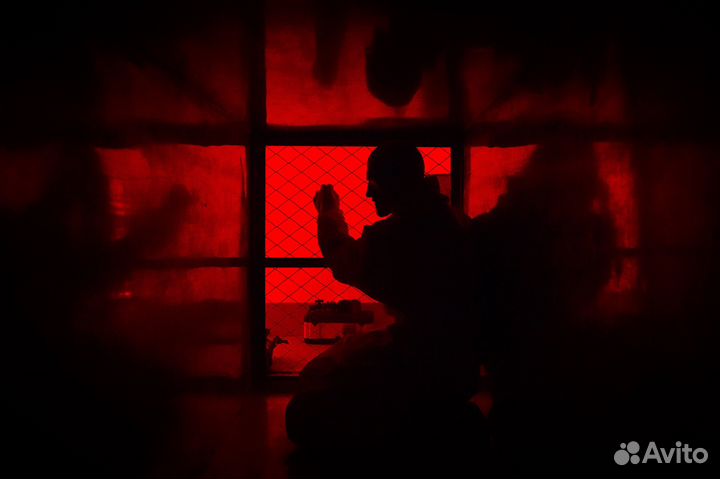 Тематический квест в закрытой комнате Красно