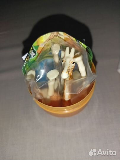 Kinder surprise maxi natoons
