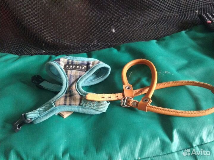 Шлейка для маленькой собаки