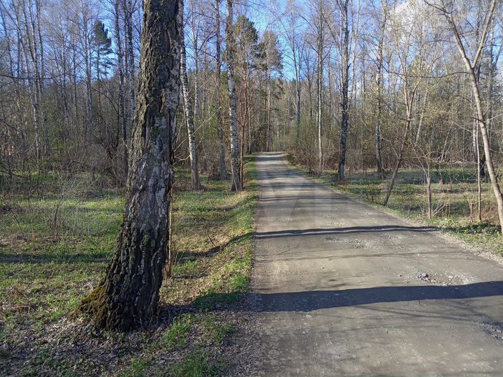 Участок 46,9 сот. (СНТ, ДНП)