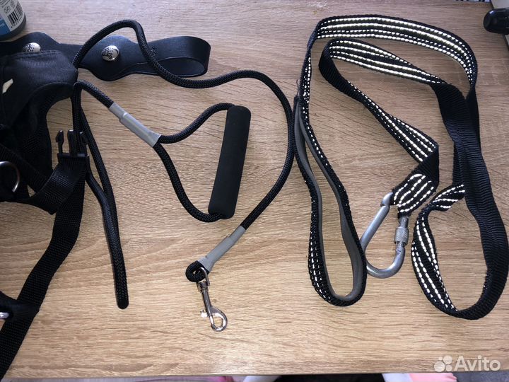 Вещи (принадлежности) для животных