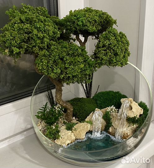 Моссариум бонсай