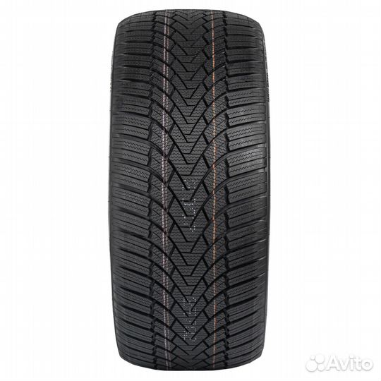 Arivo Winmaster ProX ARW3 205/50 R16 91V
