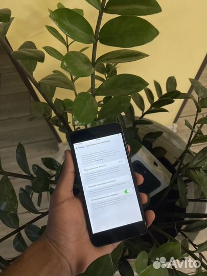 iPhone 7 Plus, 256 ГБ