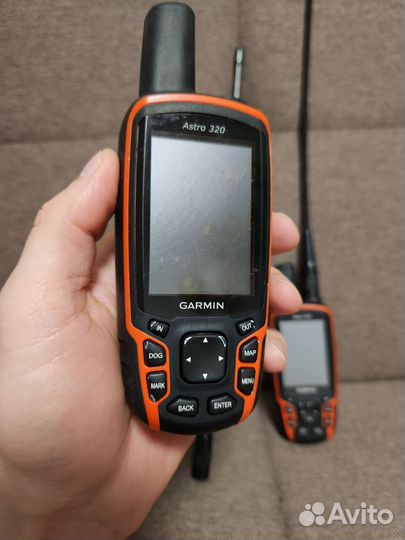 Навигатор Garmin Astro 320 с двумя ошейниками