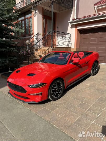 Ford Mustang 2.3 AT, 2020, 54 900 км