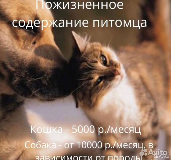Гостиница для животных
