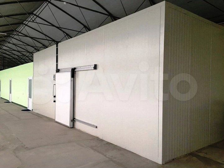 864м² морозильные и холодильные камеры