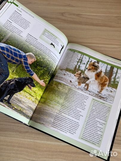 Энциклопедия собак/собаки/ большая энциклопедия