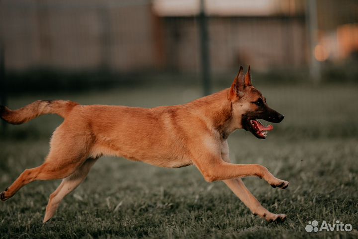 Зажигалочка Джуди