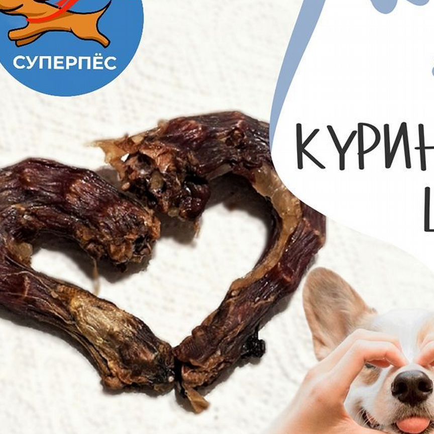 Куриные шеи сушеные, лакомство для собак