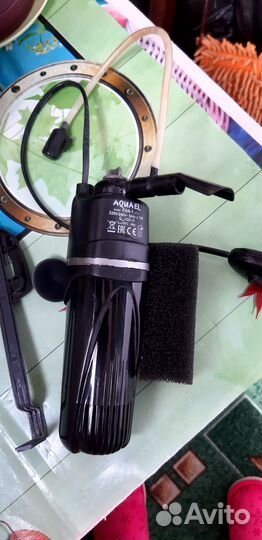 Животные/Аквариум