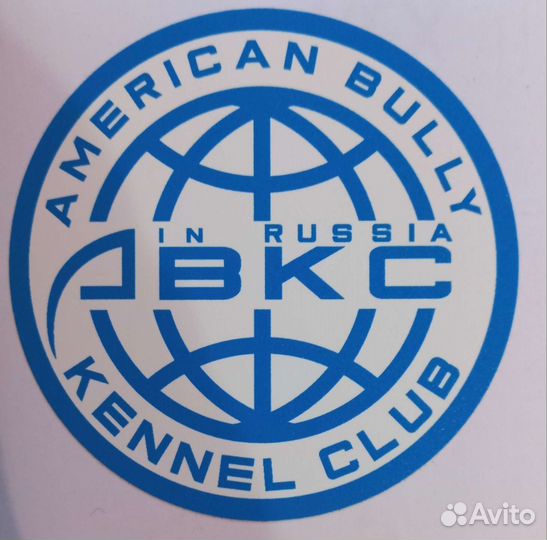 Американский булли. Вязка