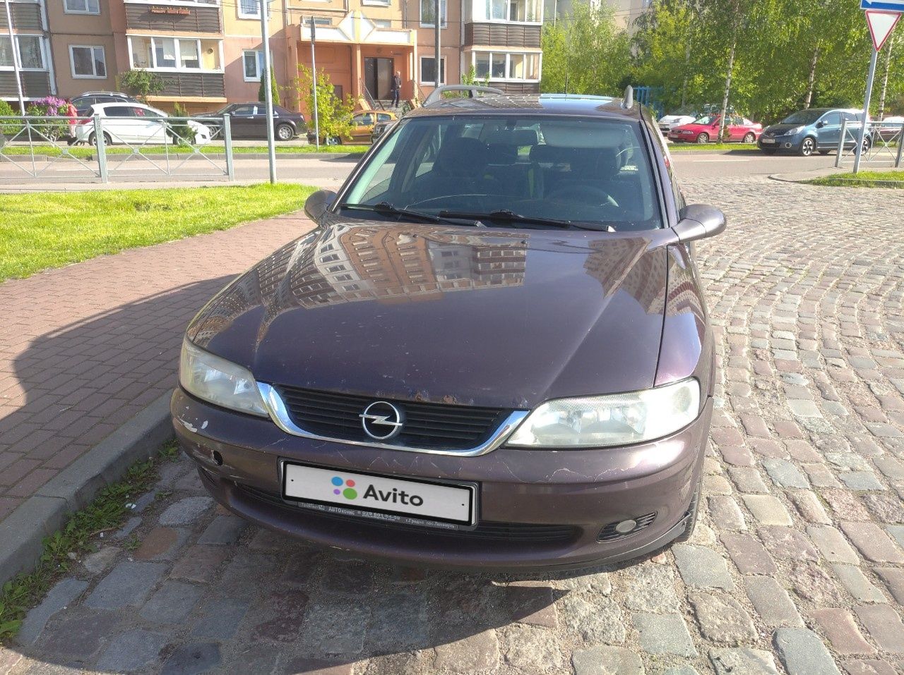 Opel Vectra: фото владельца