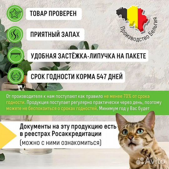 Корм д/котят Grandorf Kitten ягненок и индейка,2кг