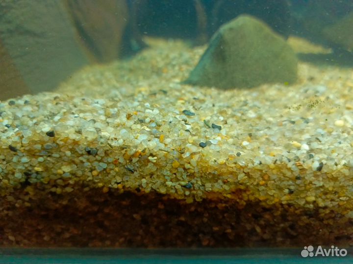 Аквариум с тумбой 160 л