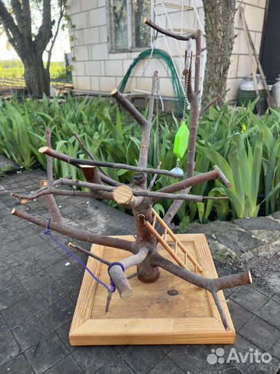 Игровая площадка / стенд для попугая