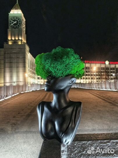 Стабилизирлванный мох кашпо baby