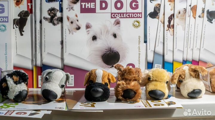 The dog collection собаки коллекция