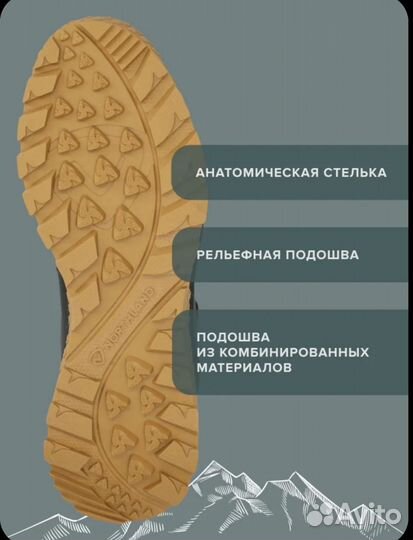 Кроссовки мужские Northland