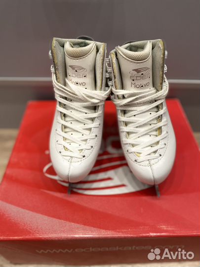 Коньки Edea motivo