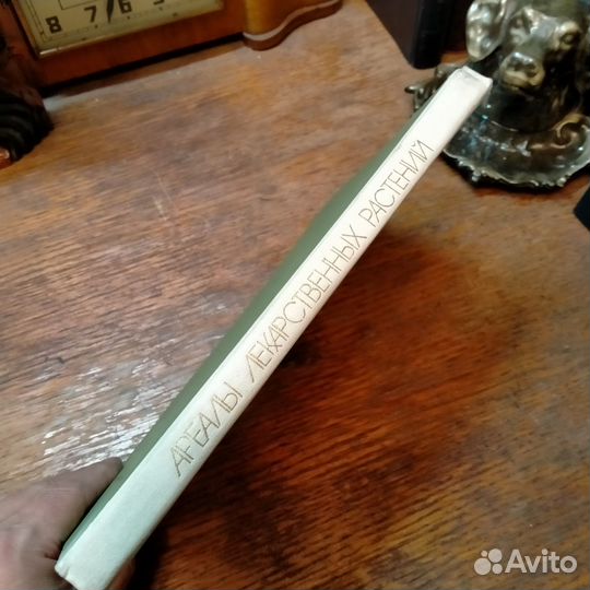 Ареалы лекарственных растений СССР атлас