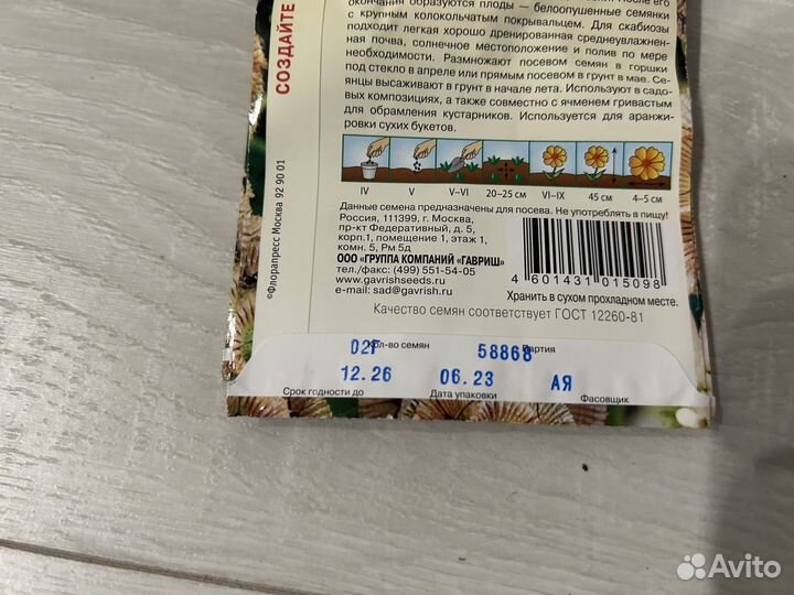 Семена скабиоза драмстик