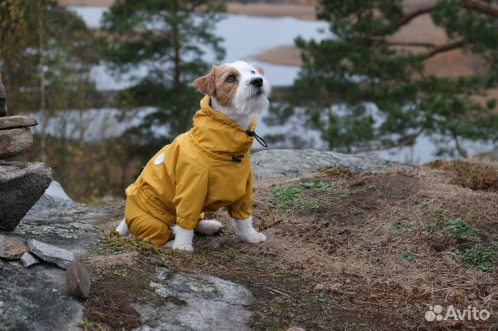 Дождевик для собак armoreddog