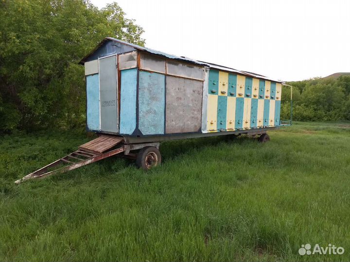 Павильон для пчел