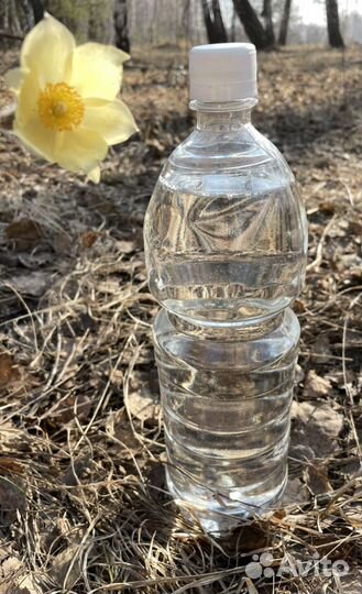 Березовый сок