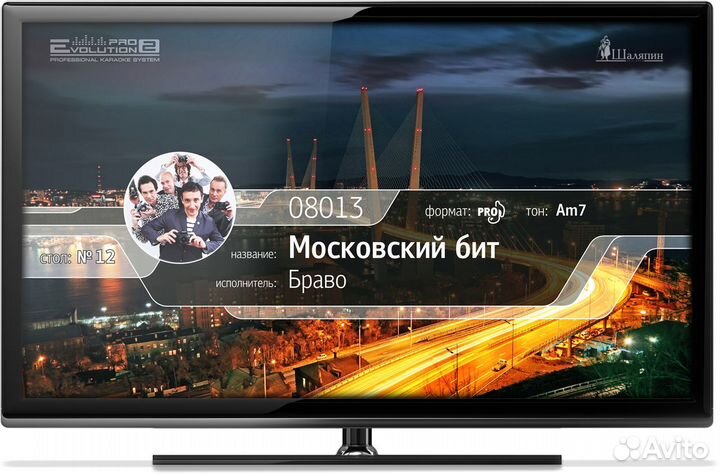 Профессиональная караоке-система Evolution PRO2