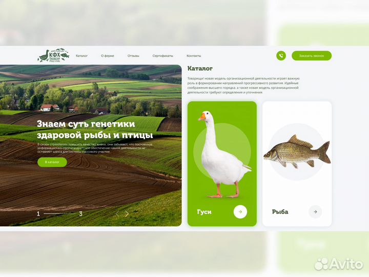 Создание сайтов. Реклама и продвижение в топ