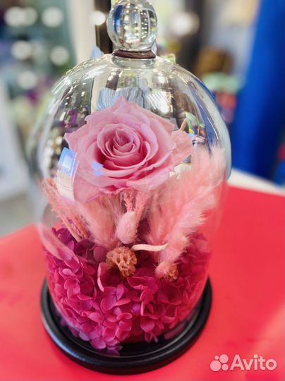 Цветы и сухоцветы, роза в колбе