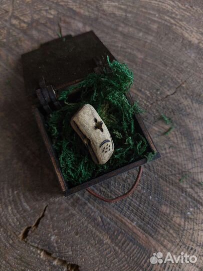 Дредобусины